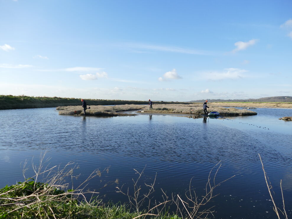 Winter bird survey at Two Tree Island | Essex Wildlife Trust