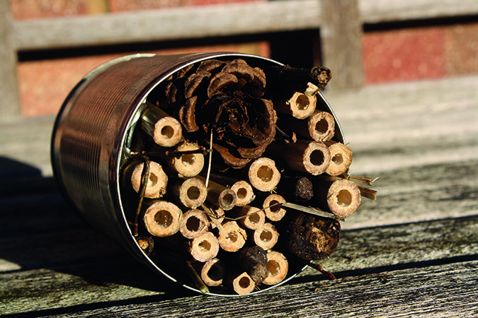 Build a bug or bee hotel | Essex Wildlife Trust