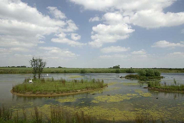 Abbotts hall farm essex case study 06 picture