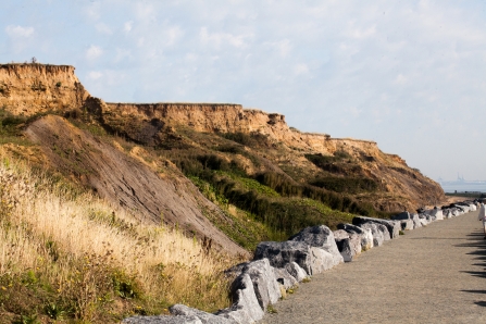 Red cliffs at The Naze