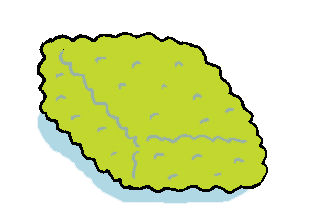 Sponge illustration