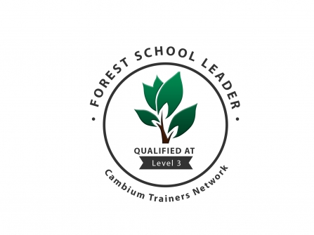 Forest School Adult training Level 3