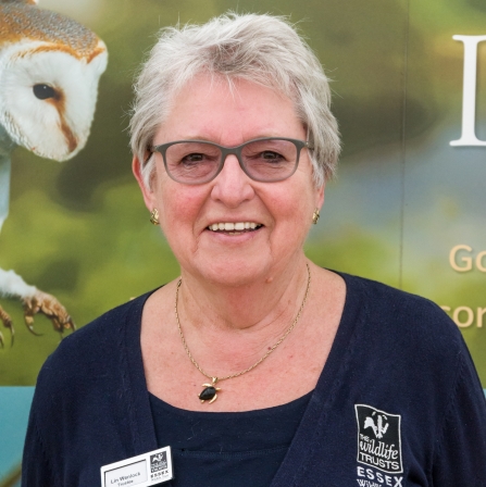 Lin Wenlock - Vice Chair