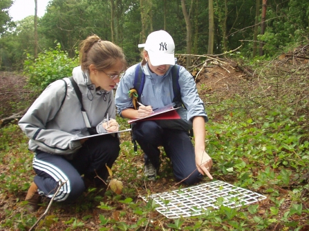 A Level Ecosystem investigations