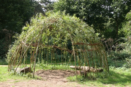 Grounds Development Living Willow Structures