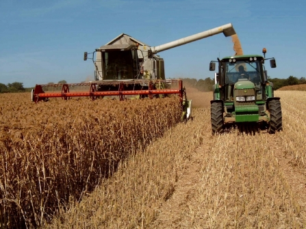 KS12 Food, Farming and Wildlife