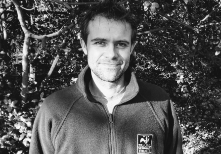 Martin Pugh