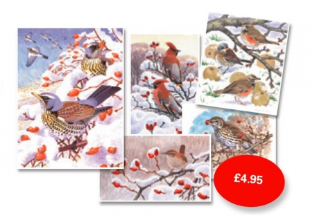 Christmas cards