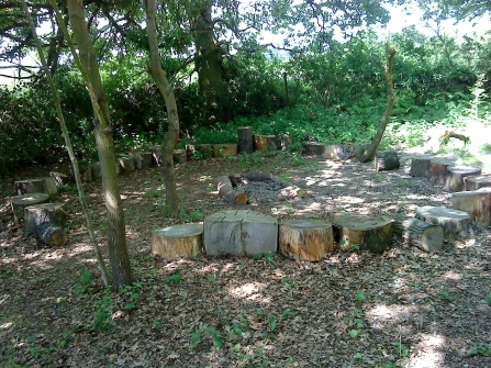 Grounds Development Forest School Site