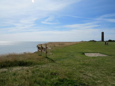 The Naze