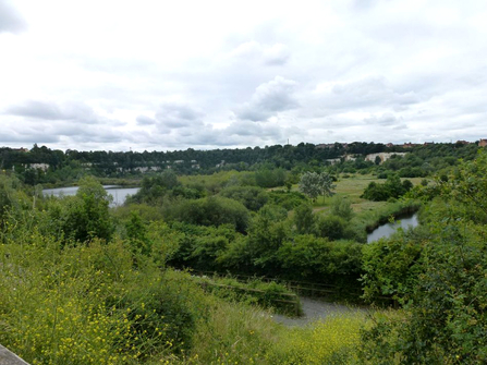Chafford Gorges work party