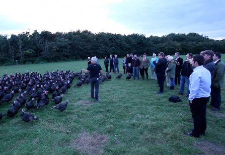 Turkeys and delegates