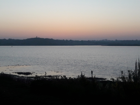 Dawn view over estuary