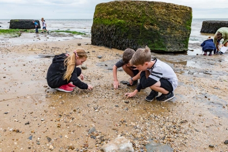 Seashore Explorers