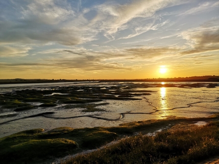 Sunset at Blue House Farm