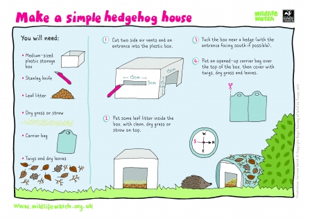 Build a hedgehog home