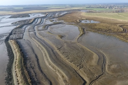 Breach at Abbotts Hall Farm