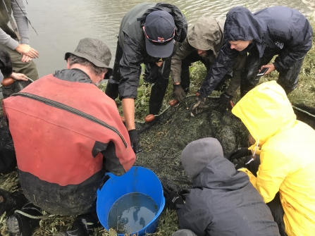 NTFLAG fish survey 