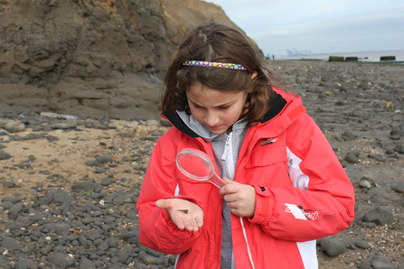 Fossil hunting