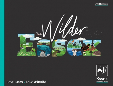 Wilder Essex