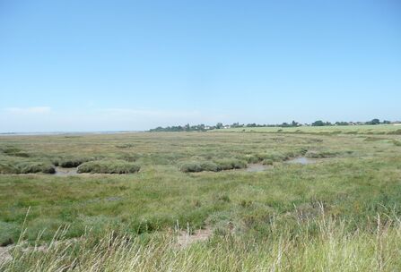 Essex Coastal Challenge Week Three: Blackwater and Colne | Essex ...