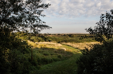 John Weston nature reserve