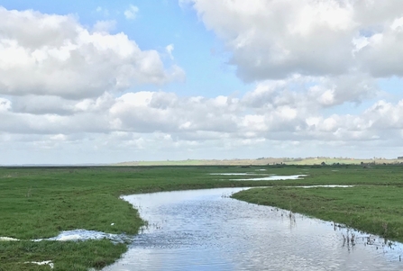 Lion Creek and Lower Raypits