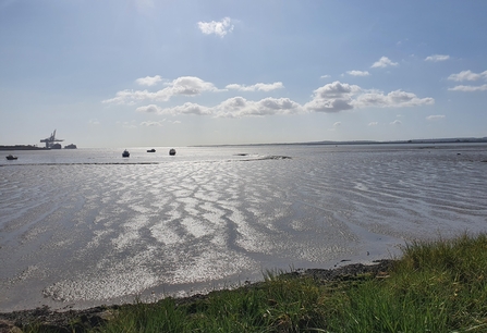 TTNP mudflats