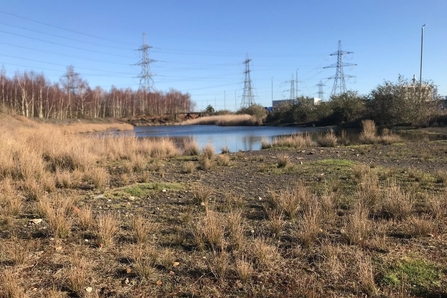 Oliver Road Lagoons