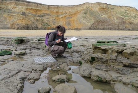 Shoresearch survey at the Naze