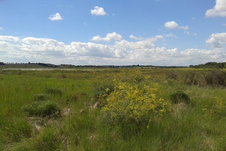 Skippers Island