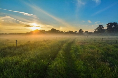 howlands marsh