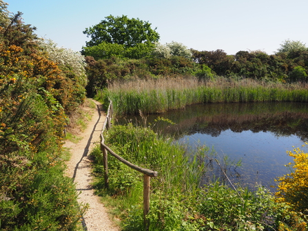 kits pond fingringhoe