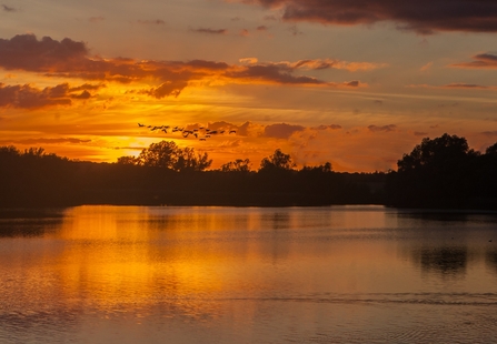 abberton