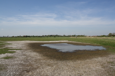 dry land at blue house farm