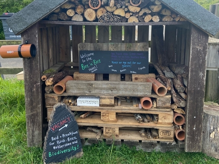 bug hotel