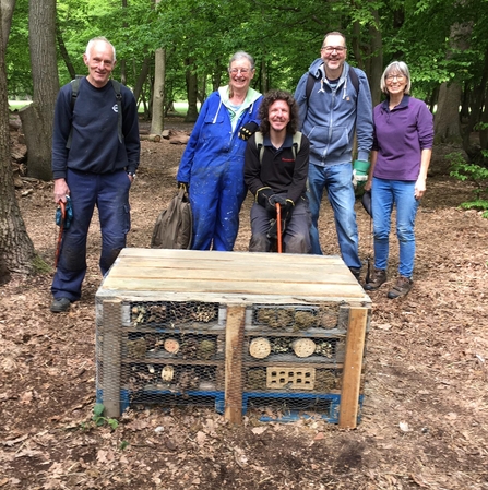 Belfairs bug hotel