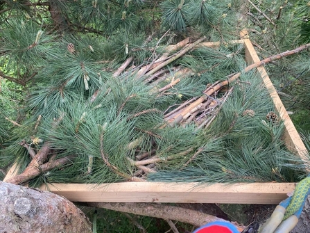 osprey nesting platform