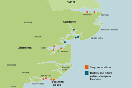 Seagrass map