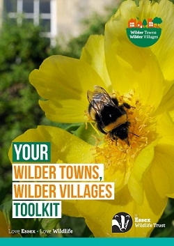 Wilder Towns, Wilder Villages Toolkit