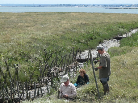 saltmarsh preservation with Epping volunteers