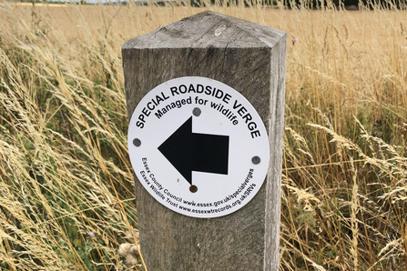 Special roadside verge sign