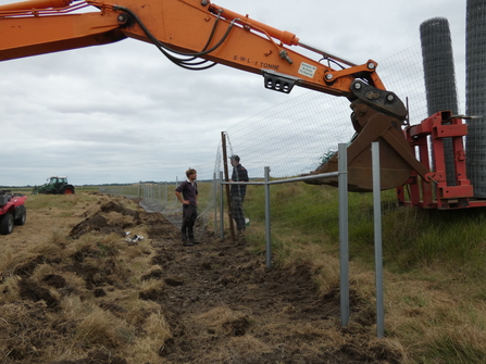 Fencing at Blue House Farm