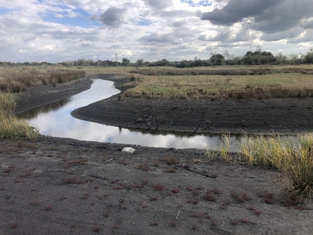 Oliver Road Lagoons