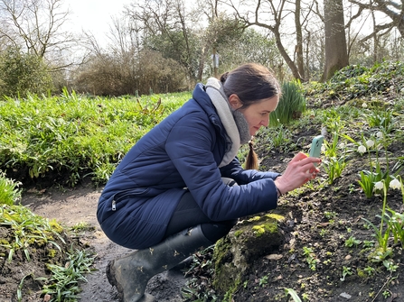 BioBlitz in action