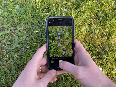 Bioblitz photo