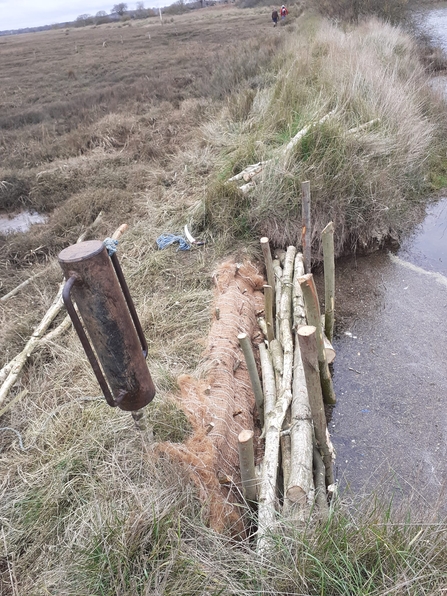 Fingringhoe's trunk wall