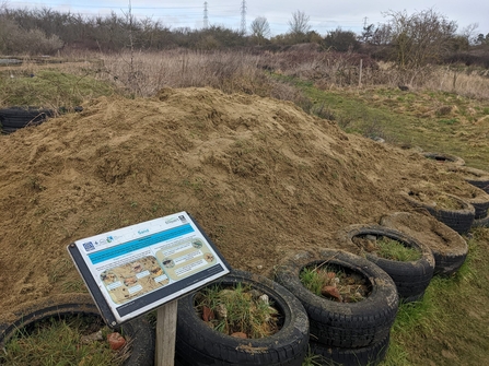 Thameside insect habitat