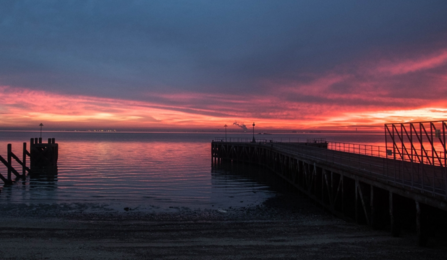 Gunners Park Sunset