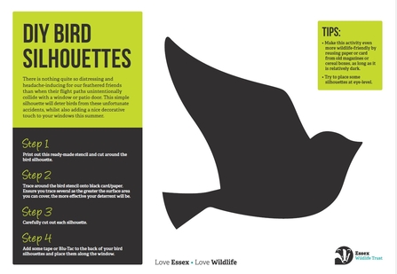 Example of the bird silhouette you can download